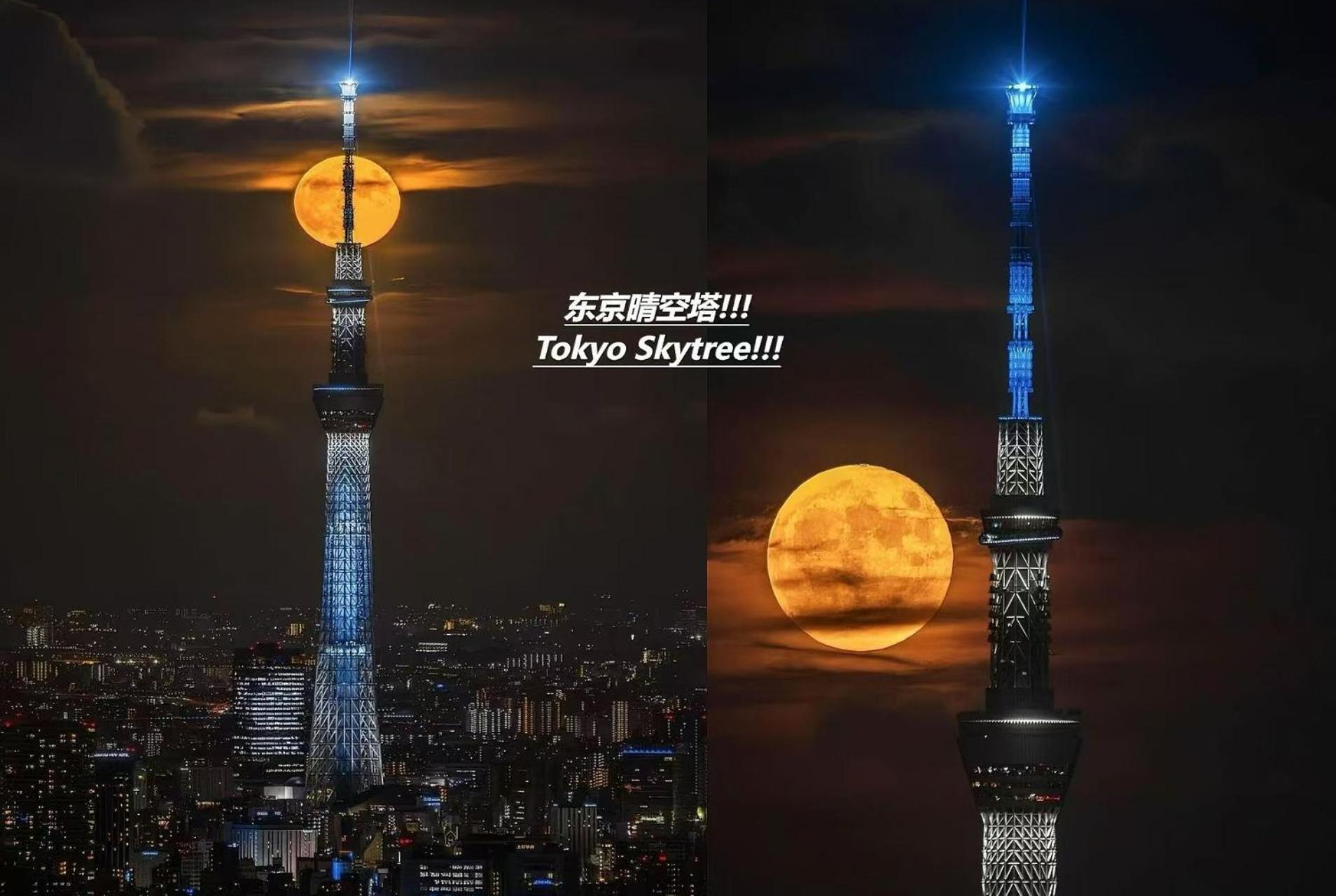 桜の川25 Minowa To Ueno 3 Mins Akihabara 5mins Villa *