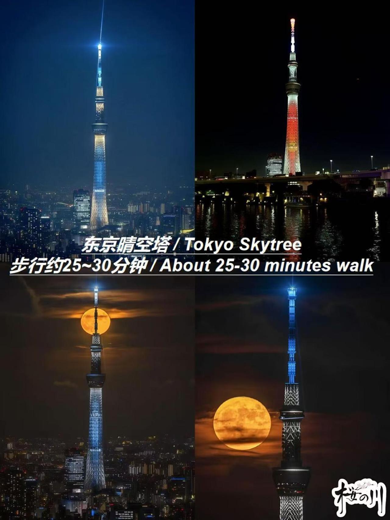 Villa 桜の川25 Minowa To Ueno 3 Mins Akihabara 5mins